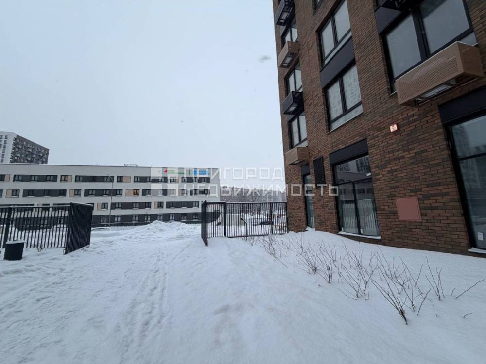 photo_11_2026-01-12_10-19-14