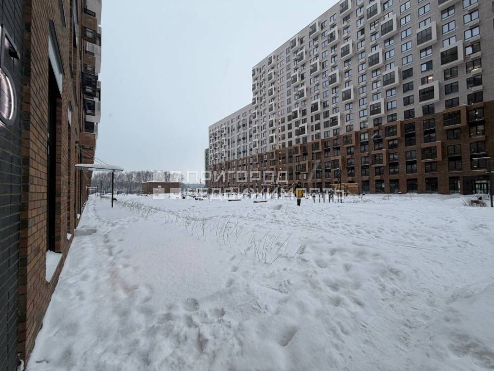 photo_9_2026-01-12_10-19-14