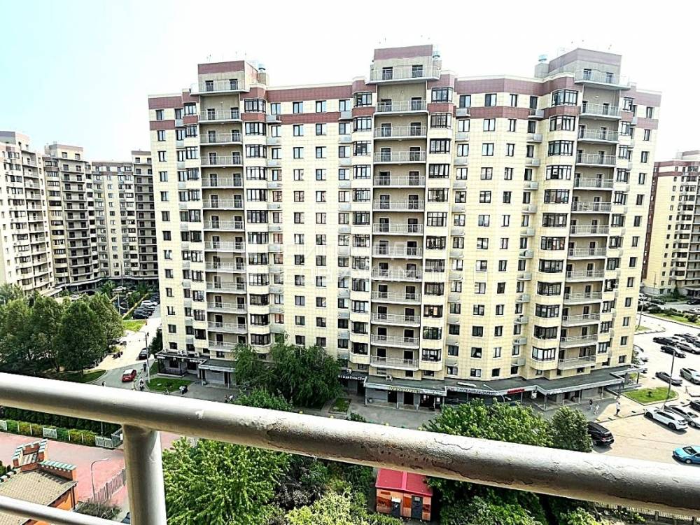 img-20250605-wa0119-large_landscape